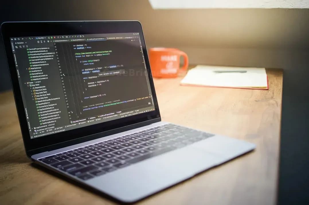 CodeBridge Academy 10