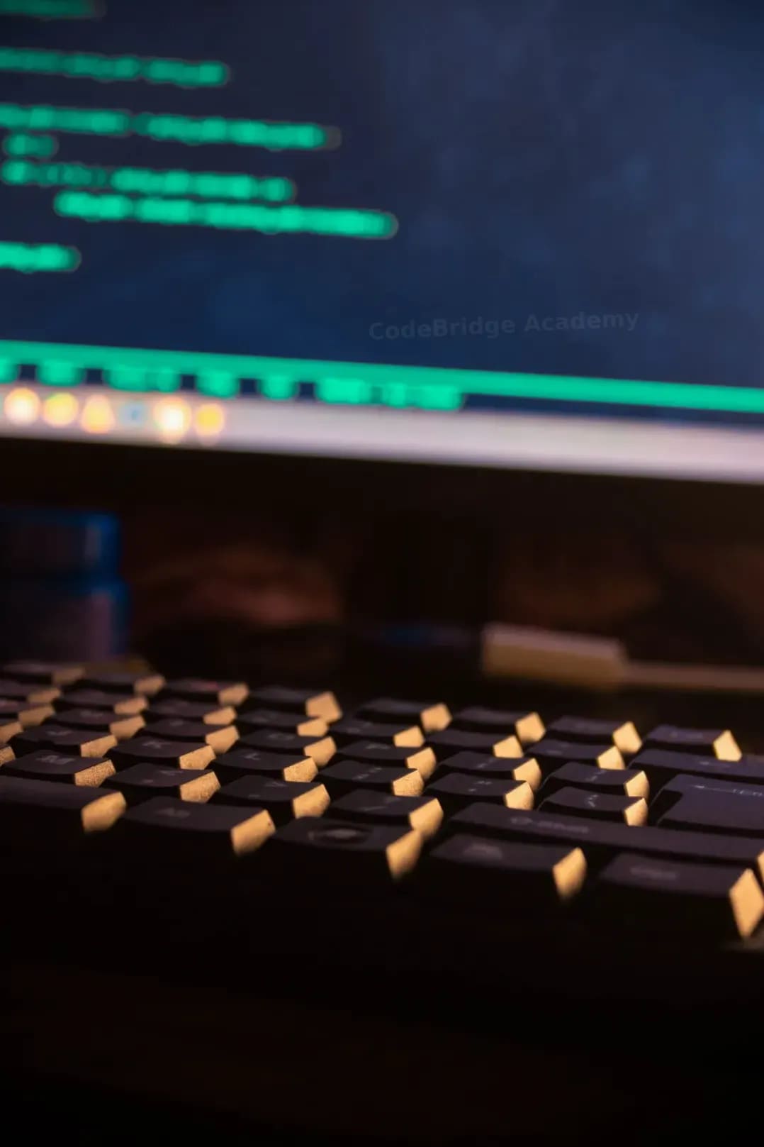 CodeBridge Academy 5