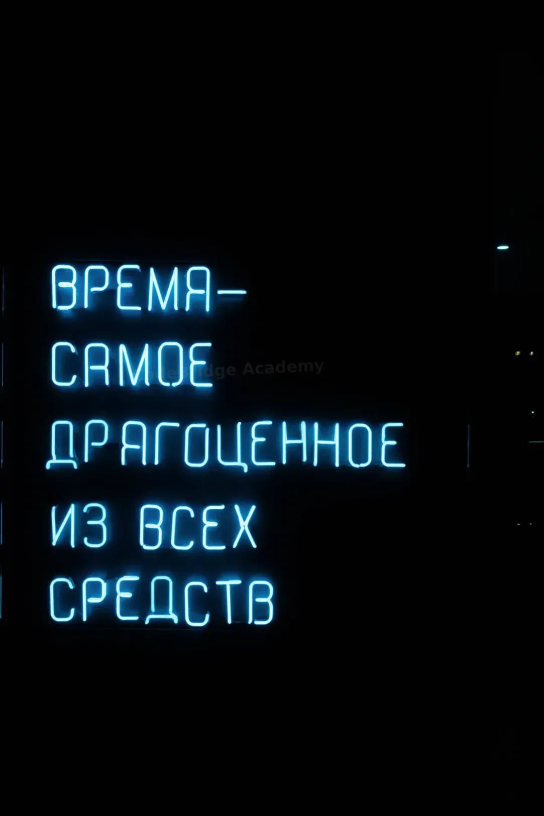 CodeBridge Academy 8